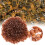 1000PCS Brown Plastic Queen Cell Cups for Beekeeping - Safe & Durable 7