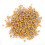Large Pack 1000 Monolithic Ceramic Capacitors 100PF 5.08mm Lead Pitch DC50V 2
