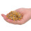 Large Pack 1000 Monolithic Ceramic Capacitors 100PF 5.08mm Lead Pitch DC50V 5