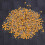 Large Pack 1000 Monolithic Ceramic Capacitors 100PF 5.08mm Lead Pitch DC50V 9
