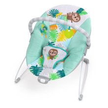 BRIGHT STARTS Vibrations-Wickelauflage Wild Wonders - Bogen mit abnehmbaren Spielzeugen, 3-Punkt-Gurt
