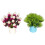 2pcs Artificial Aquarium Flower, Colorfast 12