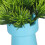 2pcs Artificial Aquarium Flower, Colorfast 7