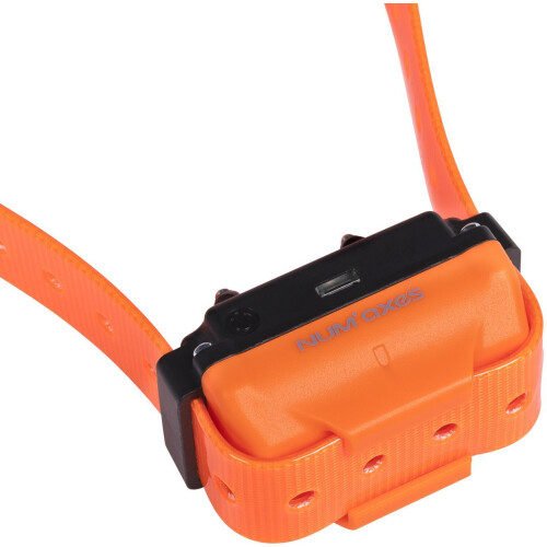 Trainingshalsband - NUM'AXES - CANICOM R - Orange 1