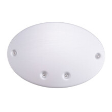 Protezione Pannello Argento Targa Laterale Moto per XSR700 XSR 700 2021-2023 XSR900 XSR 900 2022 2023 (Sinistra)