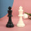 Plastic International Chess Pieces Educational Set, PP, 75mm King 7
