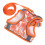 Breathable Adjustable Reflective Pet Harness Leash for Small Medium Cats Orange S 1