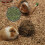 2Pièces Accrochable Pour Chinchillas Colorée 4