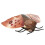 Infrared Insect Remote Control Toy, Kid Trick Moth Prop, Plastic 5