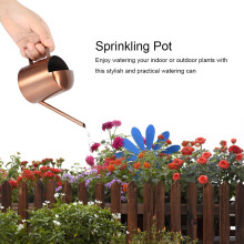 Stainless Steel 300ml Watering Pot with Long Spout for Garden and Indoor Plants