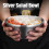Silver Stainless Steel Salad Bowl 23cm Dual Layer Multi Purpose Kitchenware 7