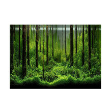 Vivid Underwater Forest Backdrop