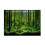 Vivid Underwater Forest Backdrop 1