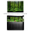 Vivid Underwater Forest Backdrop 13