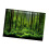 Vivid Underwater Forest Backdrop 7