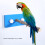 Plastic Bird Shower Rack with Suction Cup – Durable, Reusable, 25cm 10