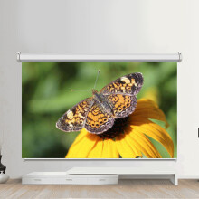 16:9 HD Tragbarer Klappbarer Projektorbildschirm 50-120 Zoll