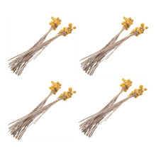 160Pcs Dried Craspedia Flowers Dried Billy Button Balls Flowers,Dried Flower Bouquet for Arrangements Wedding Home Decor