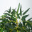 Outsunny Planta de Bambú Artificial Verde 18 x 18 x 150 cm 6