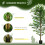 Homcom Planta Artificial Verde 17.5 x 17.5 x 180 cm 2