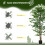Homcom Planta Artificial Verde 17.5 x 17.5 x 180 cm 3