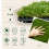 Outsunny Césped Artificial Verde 30 x 30 x 3.5 cm 2