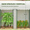 Outsunny Invernadero Blanco 200 x 100 x 178 cm 4