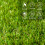 Outsunny Césped Artificial Verde 30 x 30 x 3 cm 4