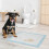 PawHut Empapadores para Perro Azul 60 x 60 cm 2