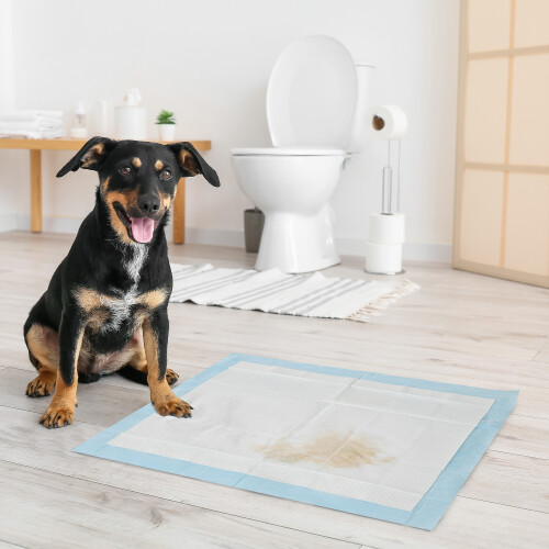 PawHut Empapadores para Perro Azul 60 x 60 cm 1