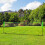 Conjunto de Bádminton Bicolor 510 x 103 x 155 cm 2