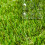 Outsunny Césped Artificial Verde 30 x 30 x 3.5 cm 4