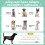 PawHut Cama Perros Elevada Gris 76 x 61 x 69.5 cm 4