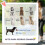 PawHut Carrito para Perro Gris 124 x 67 x 100 cm 4