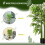 Homcom Bambú Artificial Verde Ø17 x 140 cm 4