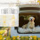PawHut Separador para Perro Negro 150 x 5 x 42 cm 3