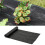 Outsunny Rollo de Malla Geotextil Negro 200 x 5000 cm 2