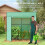 Outsunny Invernadero Verde 196 x 77 x 197 cm 5