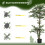 Outsunny Ficus Artificial Verde 15 x 15 x 150 cm 4