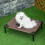PawHut Cama Elevada para Mascota Marrón 61 x 46 x 18 cm 3