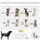 PawHut Cochecito para Perro Verde 80.5 x 51.5 x 100 cm 4
