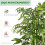 Homcom Planta Artificial Verde 17 x 17 x 180 cm 3