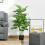 Homcom Planta Artificial Verde 17 x 17 x 120 cm 2