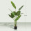 Homcom Planta Artificial Verde 16.5 x 16.5 x 160 cm 5