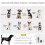 PawHut Cochecito para Perro Verde 80.5 x 51.5 x 100 cm 4
