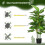 Homcom Planta Artificial Verde 17 x 17 x 120 cm 6