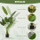 Homcom Planta Artificial Verde 16.5 x 16.5 x 160 cm 2