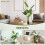 Homcom Planta Artificial Verde 16.5 x 16.5 x 160 cm 3