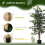 Homcom Planta Artificial Verde 15 x 15 x 130 cm 5
