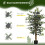 Homcom Planta Artificial Verde 15 x 15 x 130 cm 6